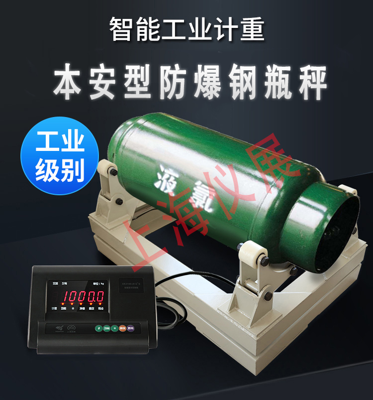 防爆型鋼瓶電子秤
